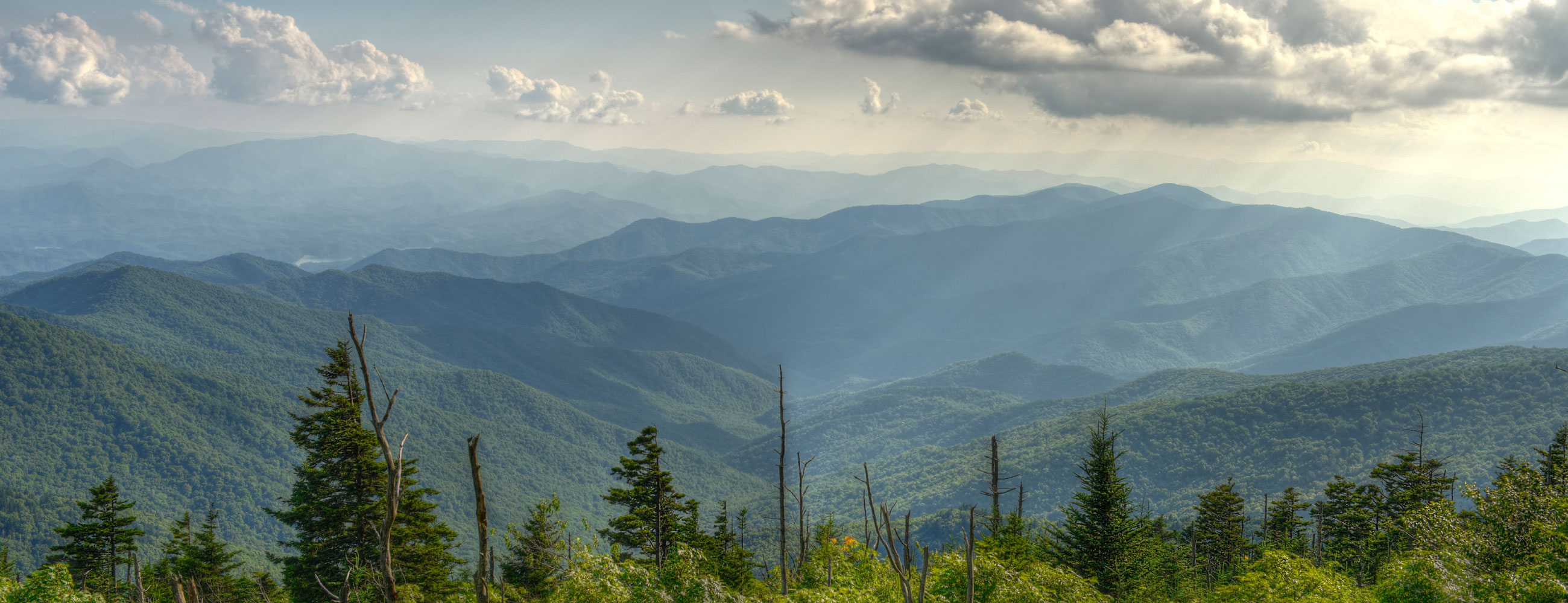 Баранов Андрій